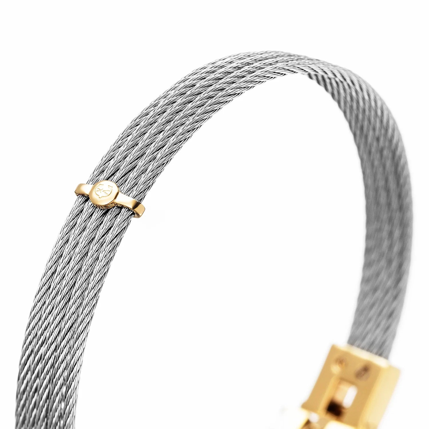 Steel_Yellow Gold
