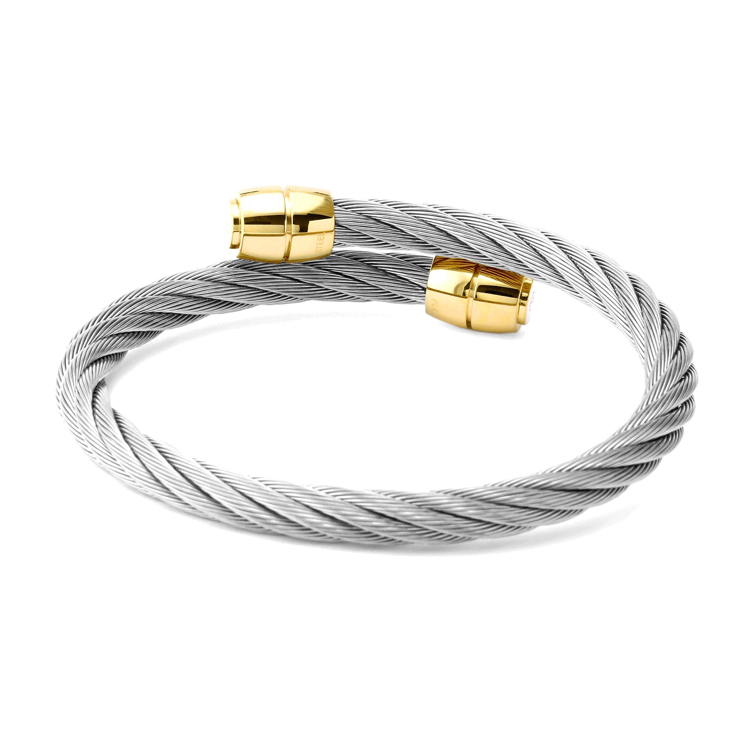 Steel_Yellow Gold
