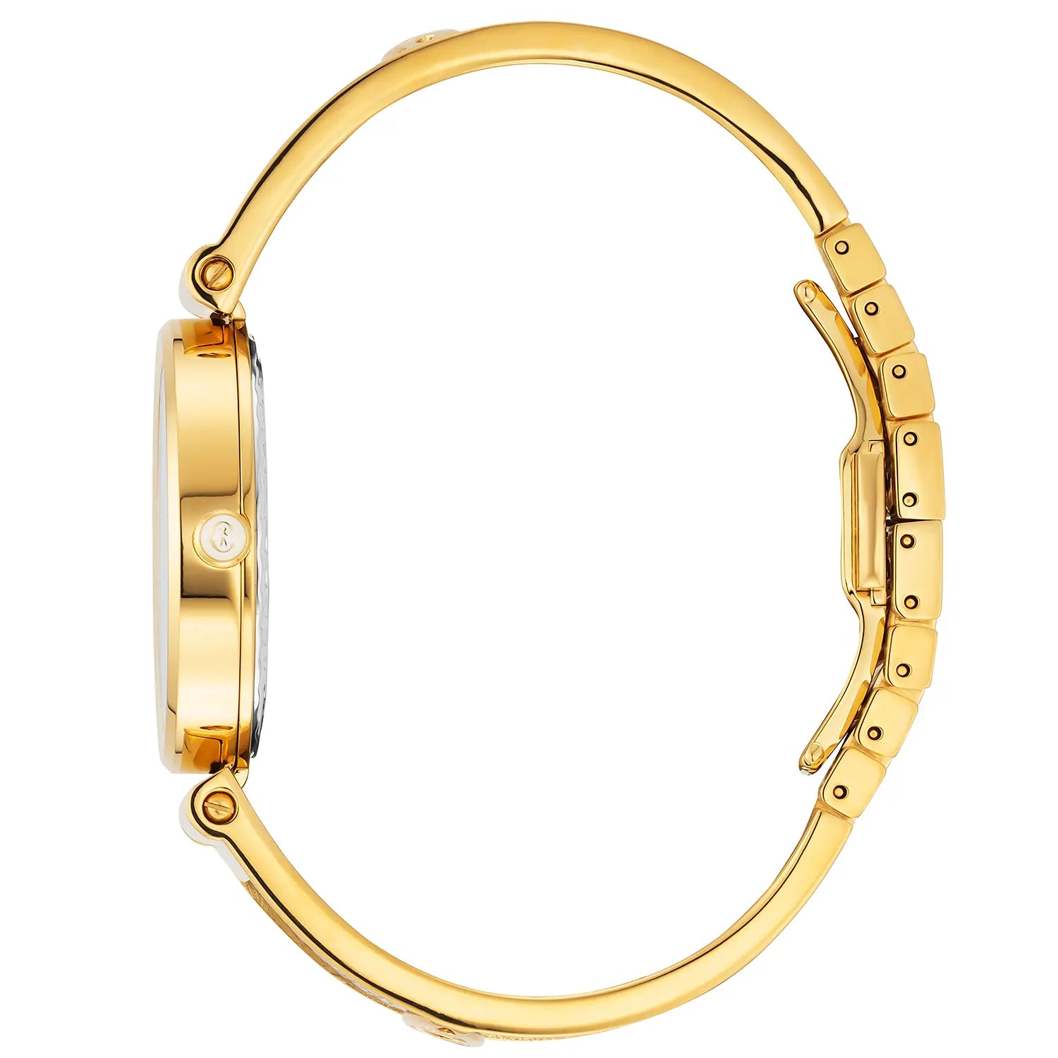 FOREVER, 32MM, QUARTZ CALIBRE, MOTHER-OF-PEARL DIAL, YELLOW GOLD PVD BEZEL, STEEL CABLE BRACELET - Charriol Geneve -  Watch