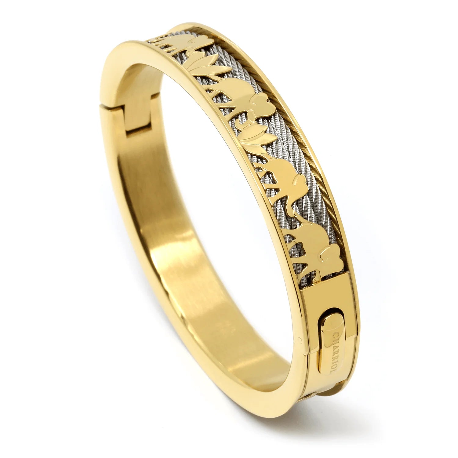 Steel_Yellow Gold