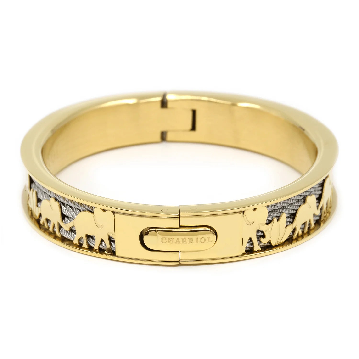 Steel_Yellow Gold