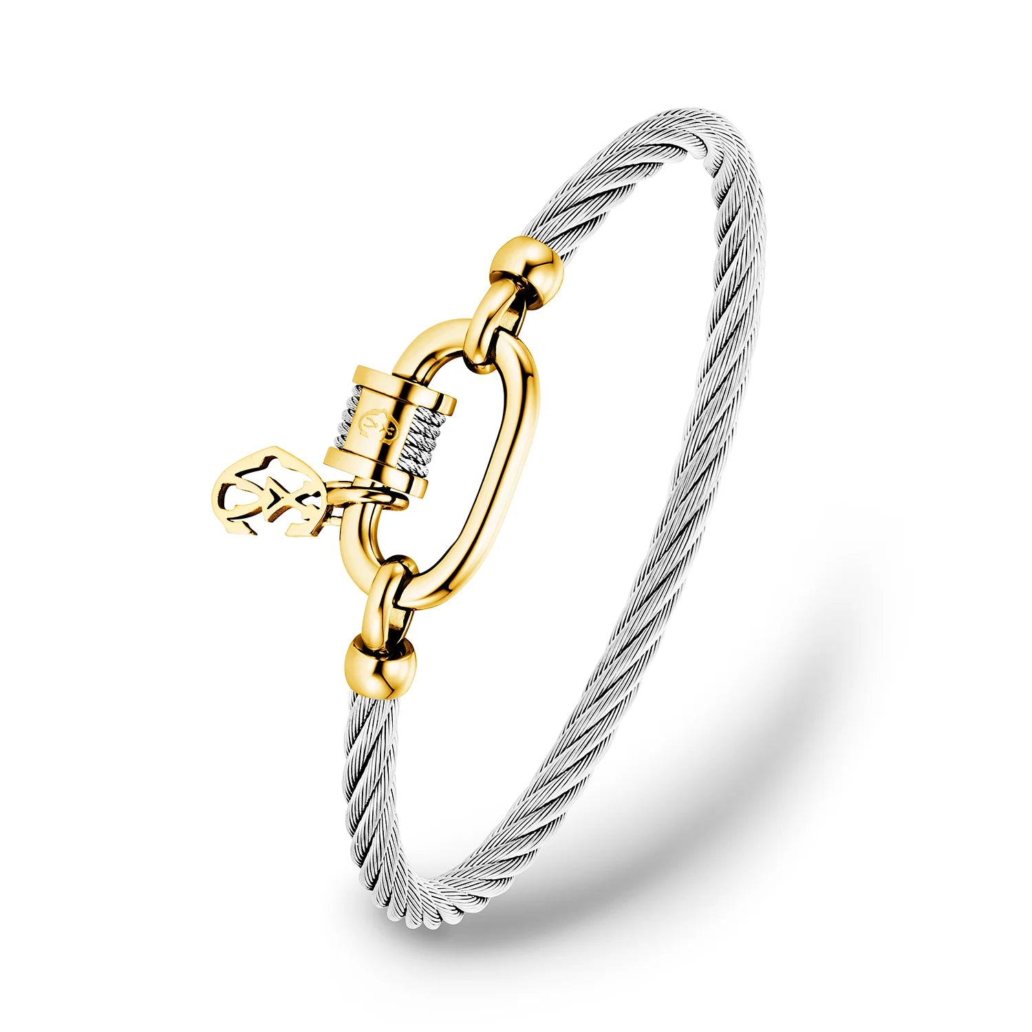 Steel_Yellow Gold