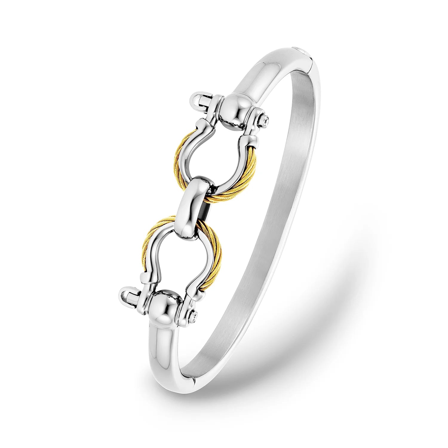Steel_Yellow Gold