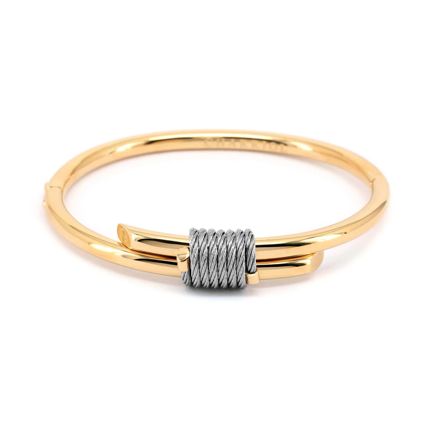 Steel_Yellow Gold